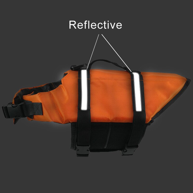 Life Jacket