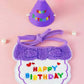 Birthday Bib and Party Hat Set - Purple