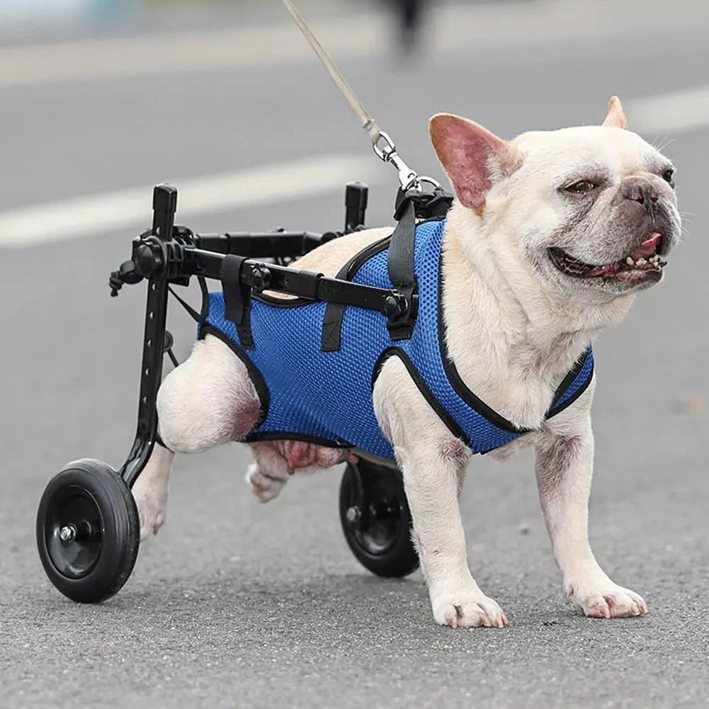 Pet Wheelchair