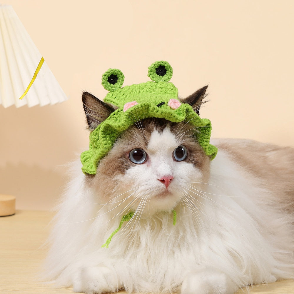 Handmade Knit Hat for Cats - Green frog