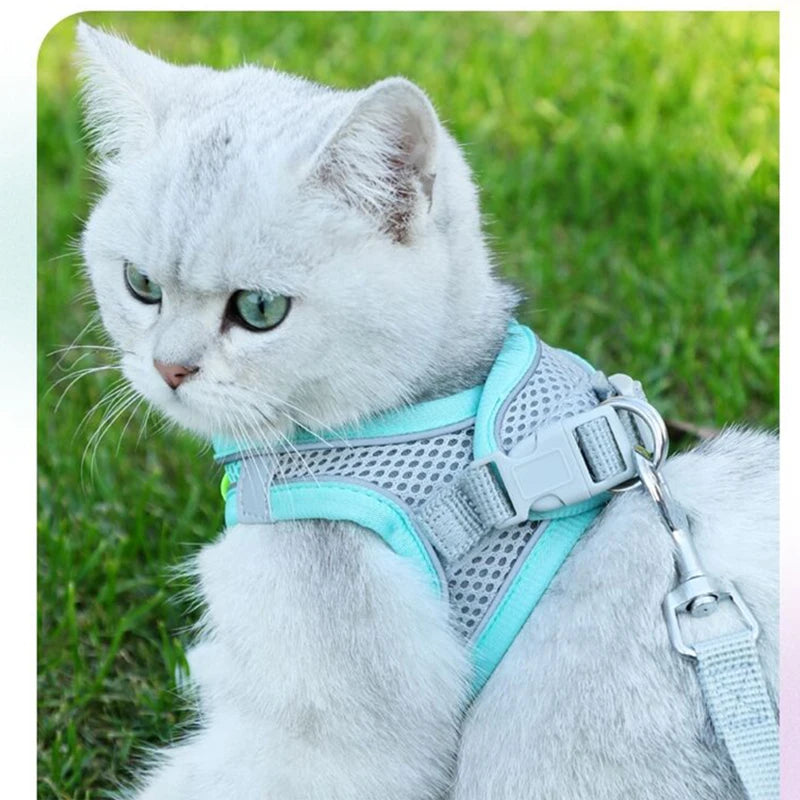 Escape Proof Cat Harness - Blue