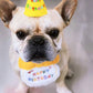 Birthday Bib and Party Hat Set - Yellow