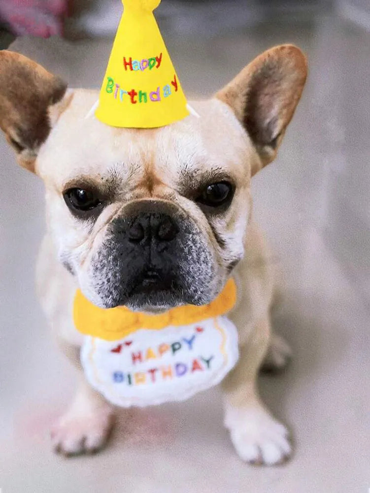 Birthday Bib and Party Hat Set - Yellow