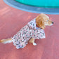 Feather Print Lightweight Dog Raincoat