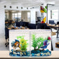 Acrylic Fish Tank