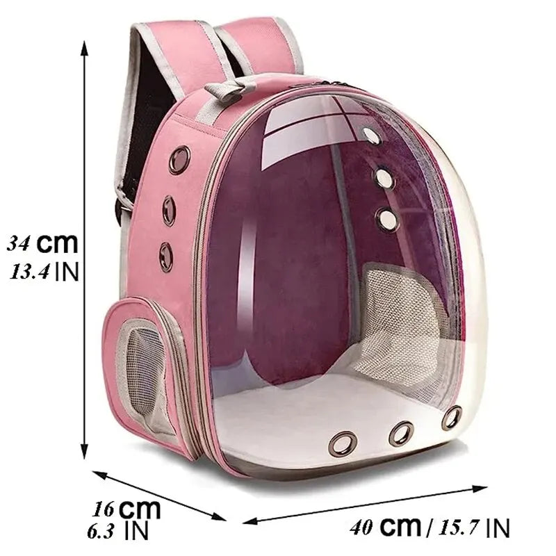 Transparent Pet Carrier