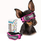 Doggy Goggles