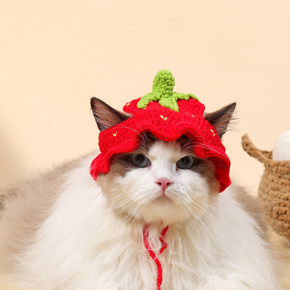 Handmade Knit Hat for Cats - Strawberry