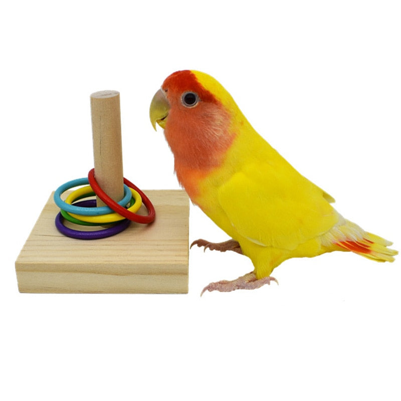 Bird Training Toy Set