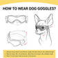 Doggy Goggles