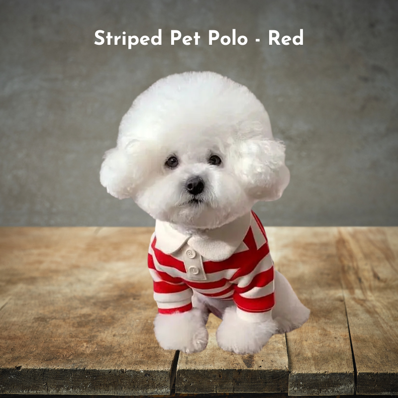 Striped Pet Polo