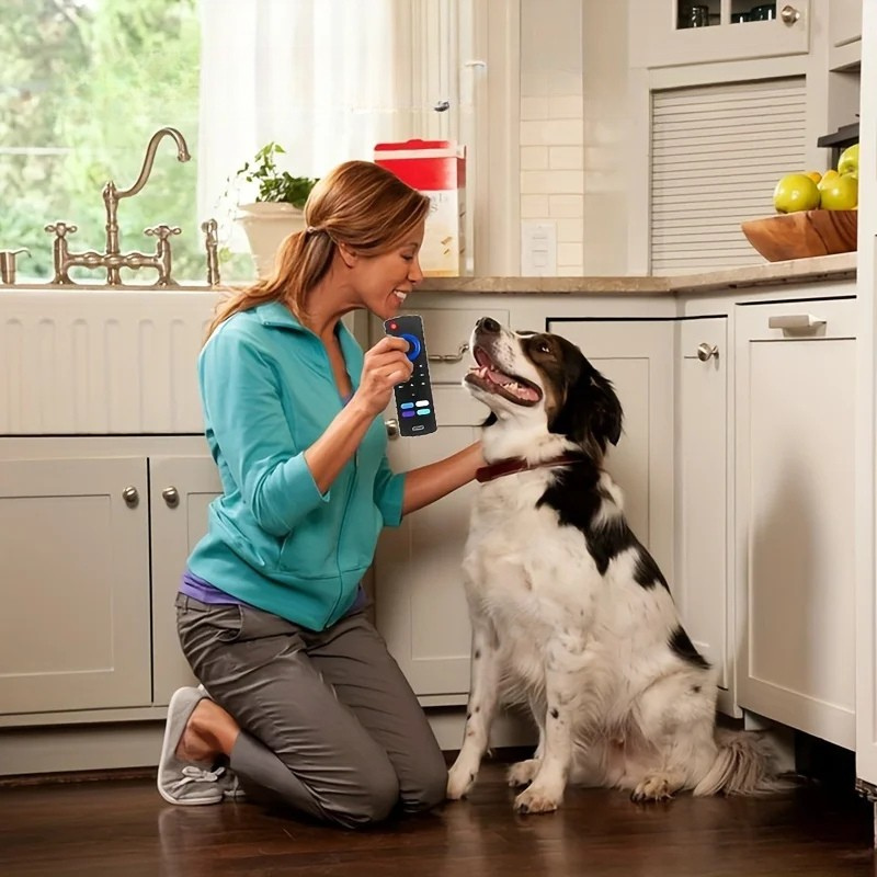 TV Remote Chew Toy