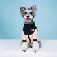 The Dog Face Polar Fleece  - pink 1