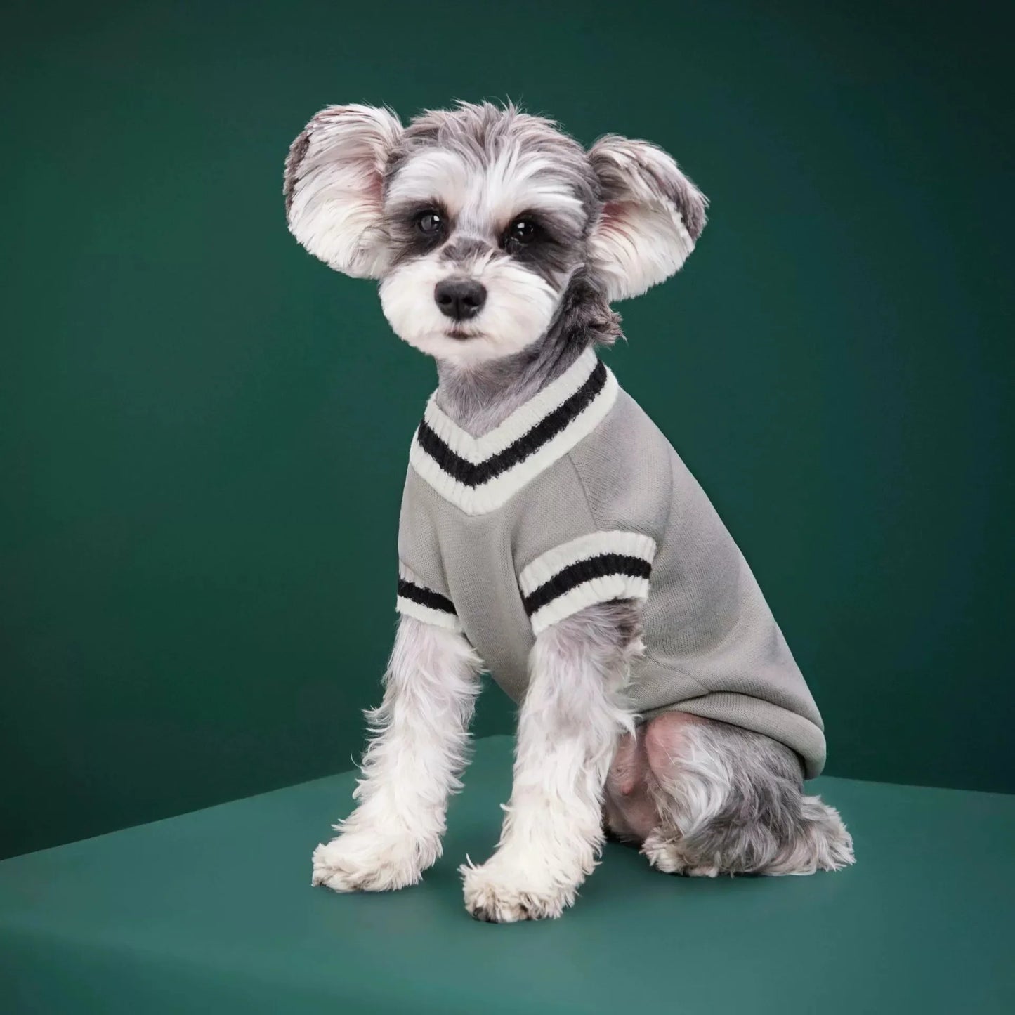 The Ivy Pet Pullover - Grey