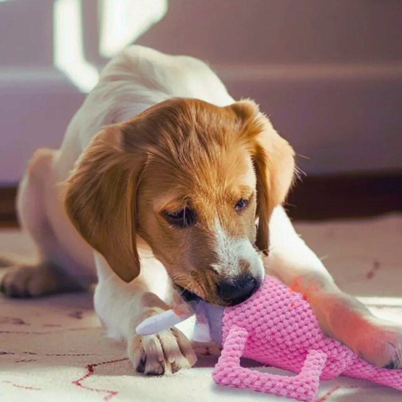 The Stanley -  Plush Dog Toy