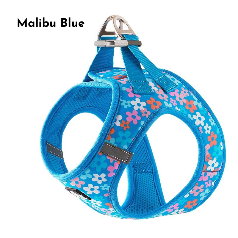 Whimsical Print Pet Harness - Malibu Blue