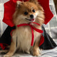 Vampire Cloak for Pets