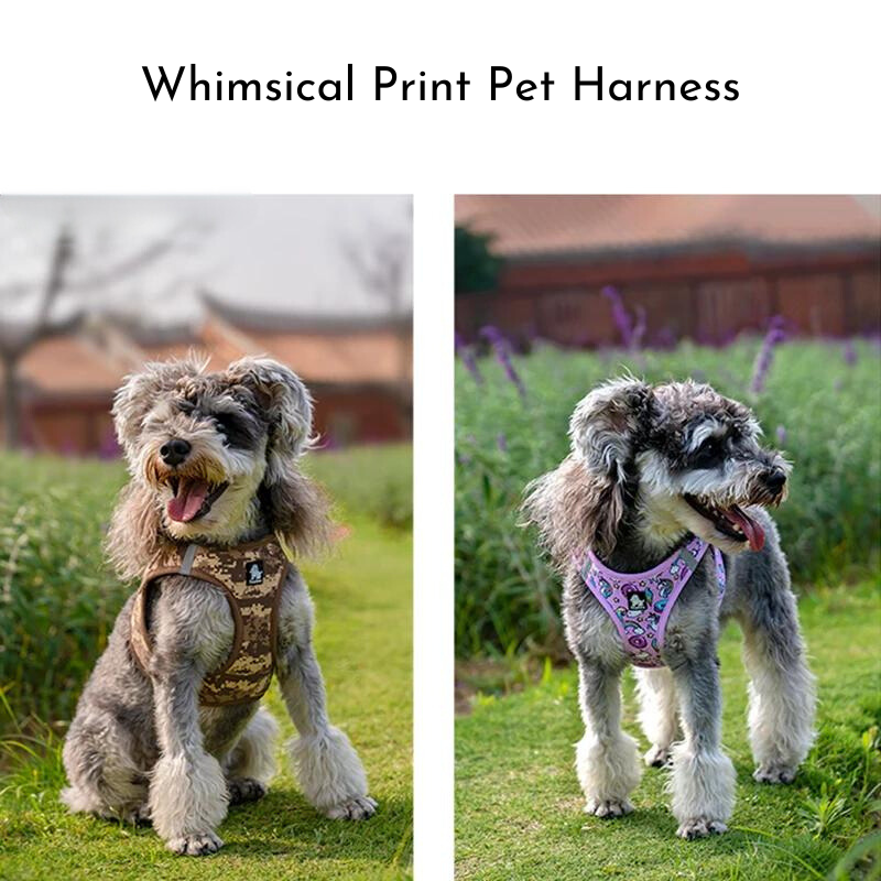 Whimsical Print Pet Harness