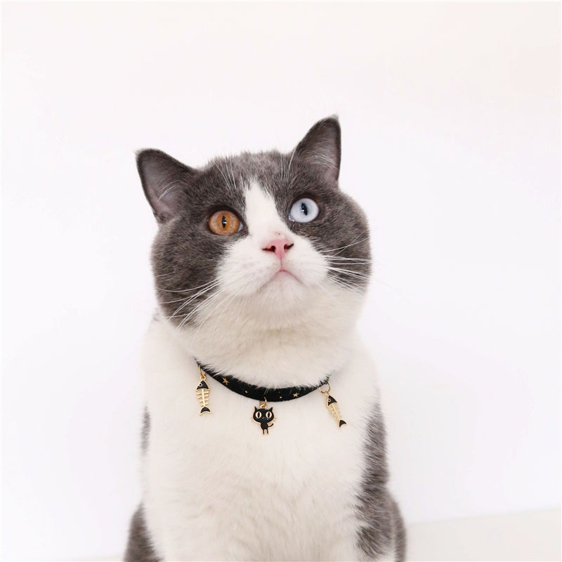 Velvet Charm Collar