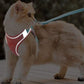 Colorful Pet Harness