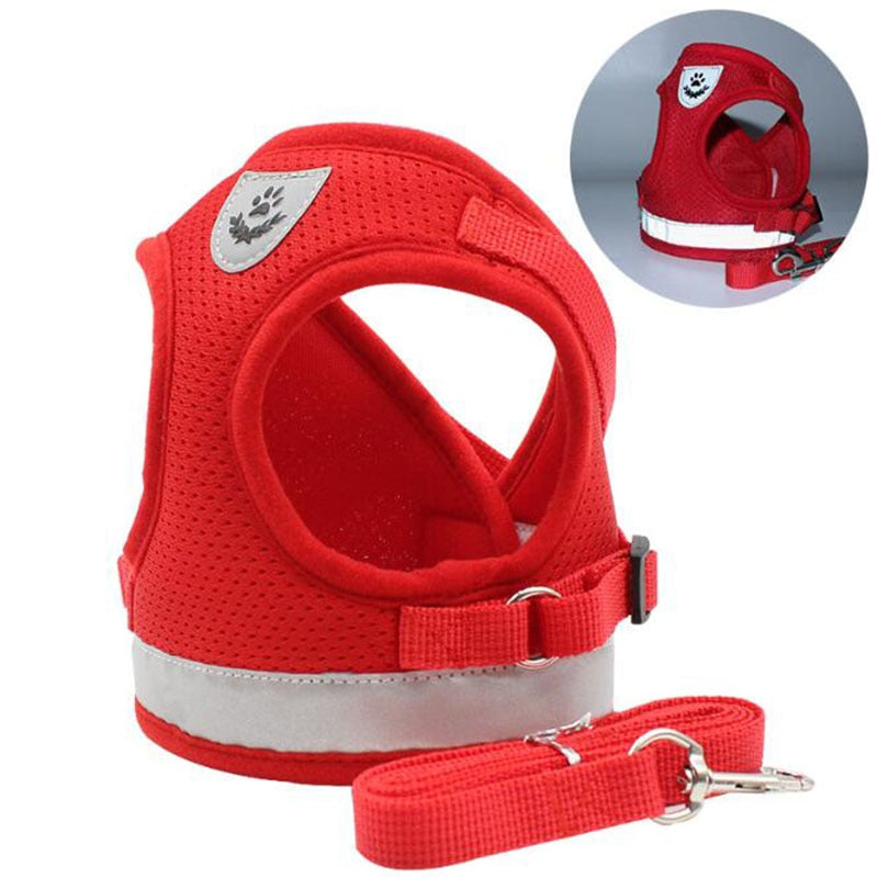 Velcro harness for outlet small dogs