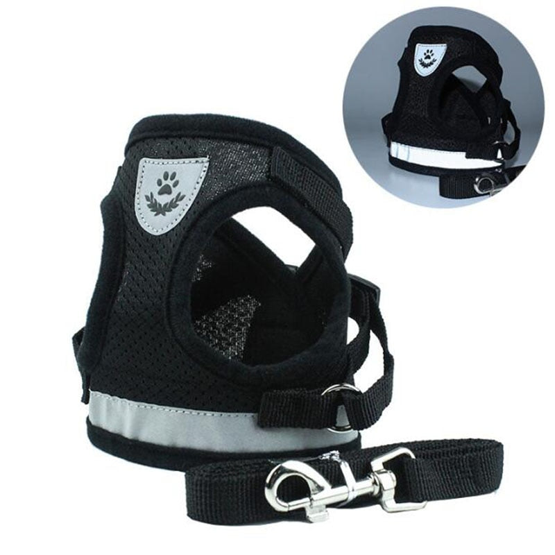 Velcro harness hotsell