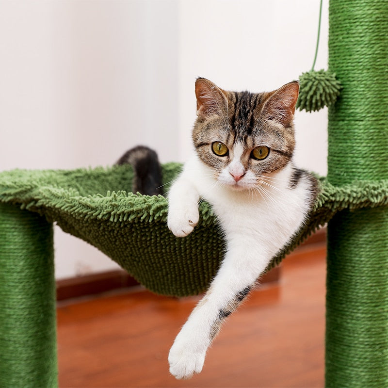 Cactus Cat Scratching Post