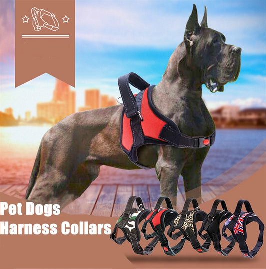 Large Dog Harness