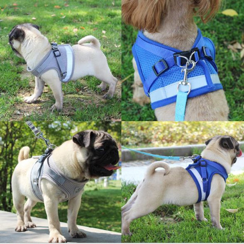 Velcro harness for small cheap dogs