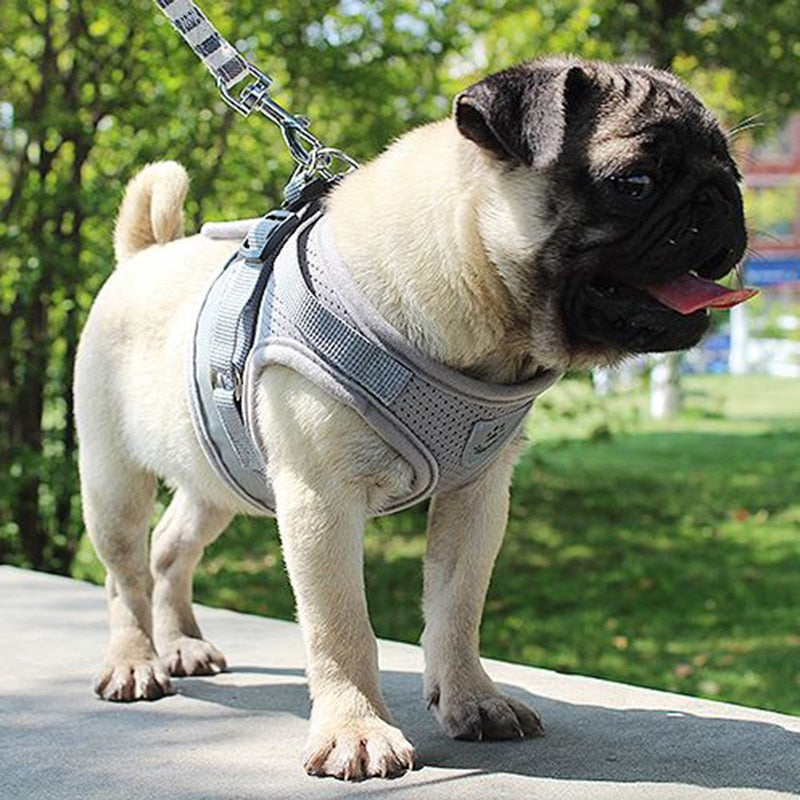 Adjustable Velcro Harness