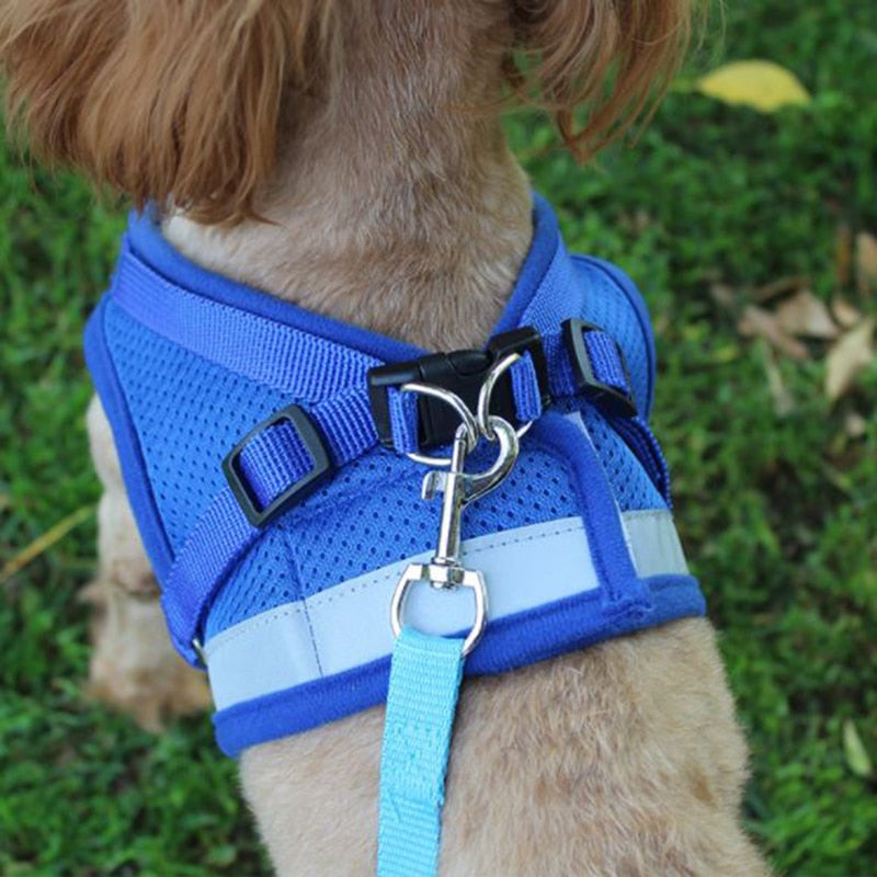 Adjustable Velcro Harness