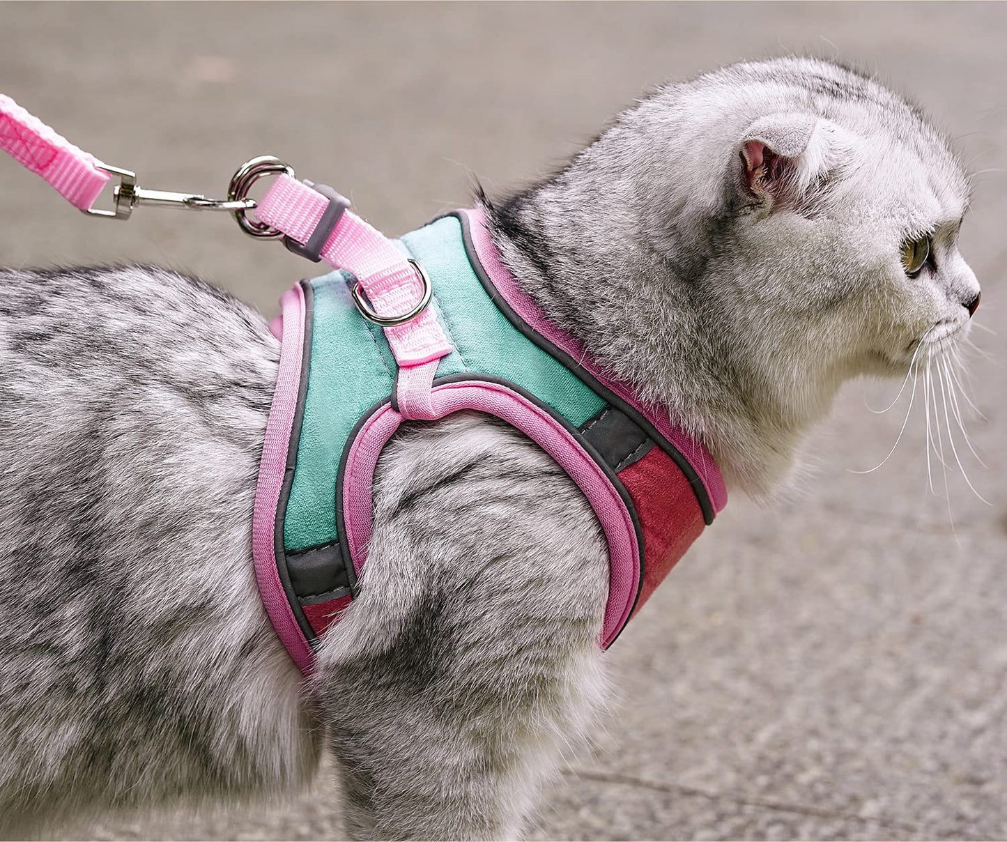 Colorful Pet Harness