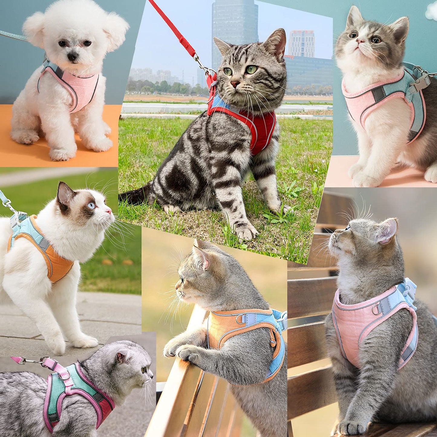 Colorful Pet Harness