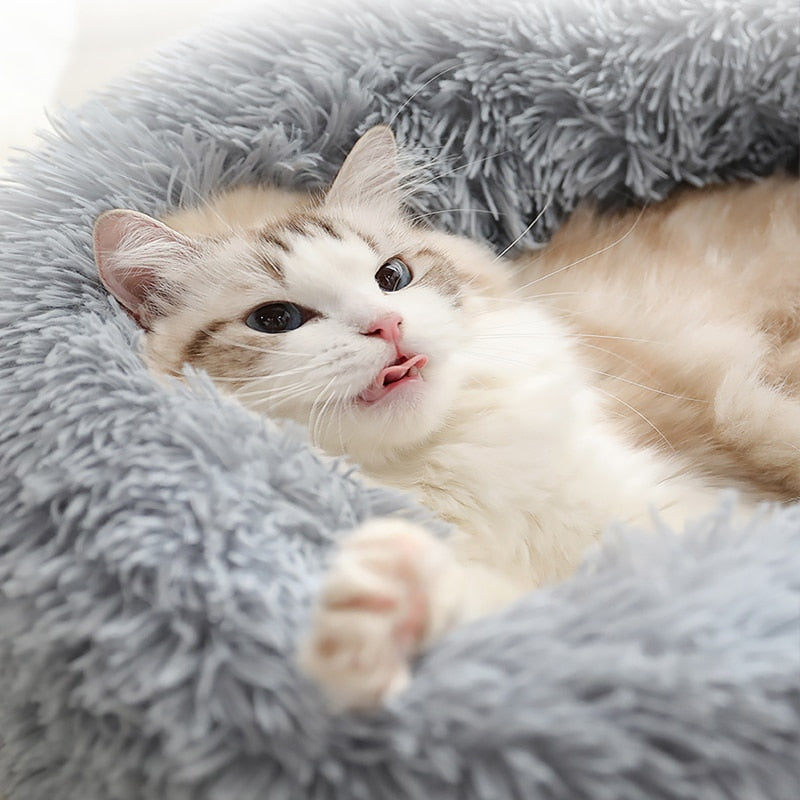 Donut Shaped Cozy Pet Bed