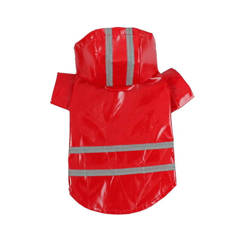 Shiny Doggy Rain Slicker