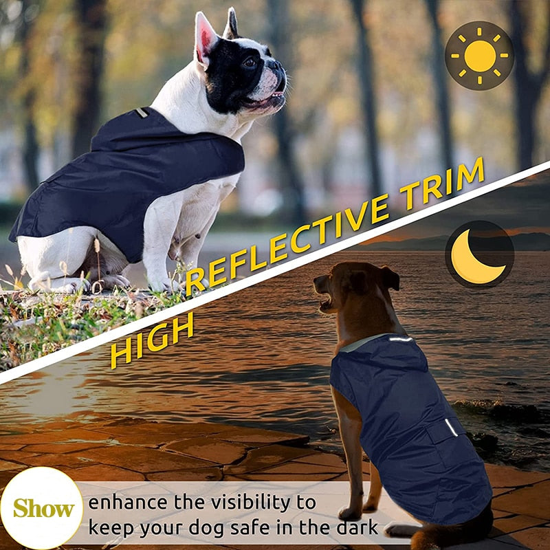 Reflective Dog Raincoat