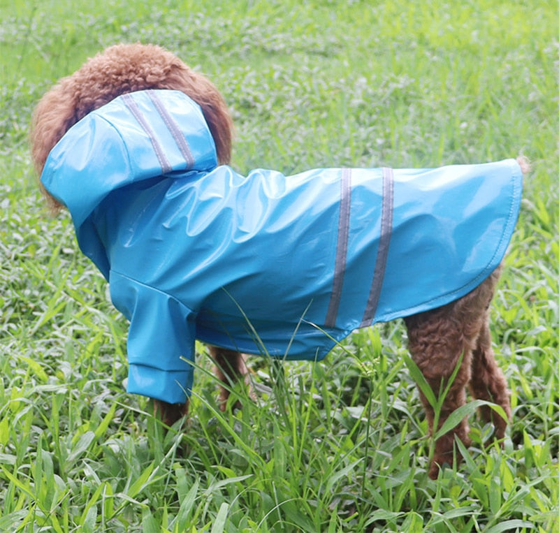 Shiny Doggy Rain Slicker