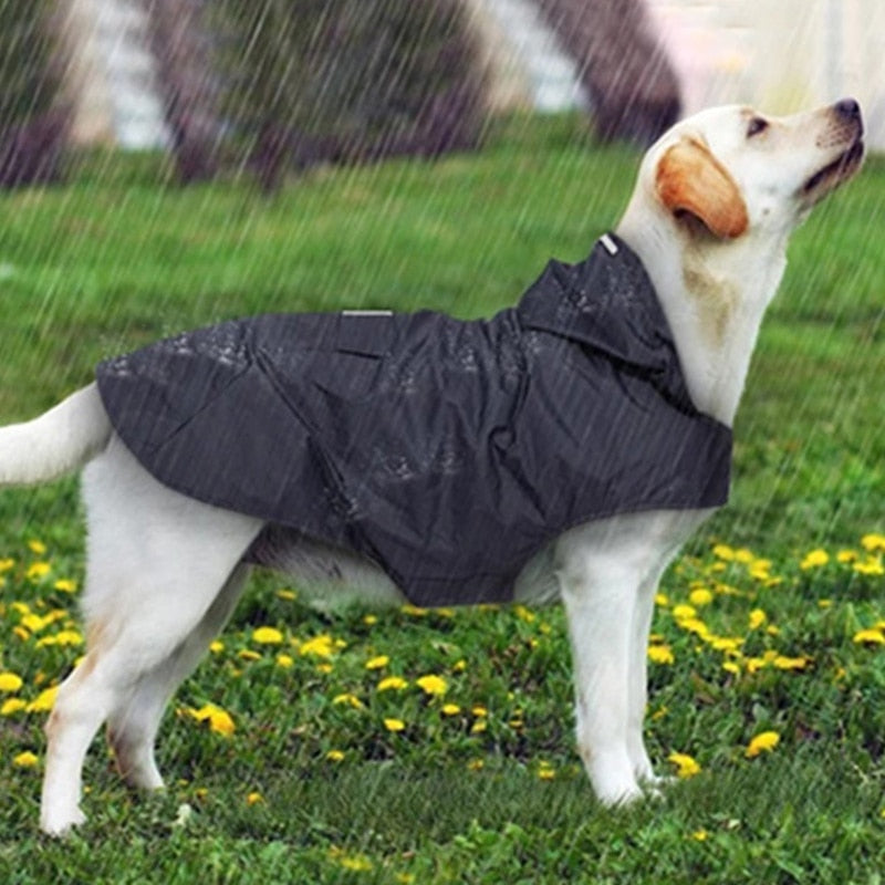 Reflective Dog Raincoat