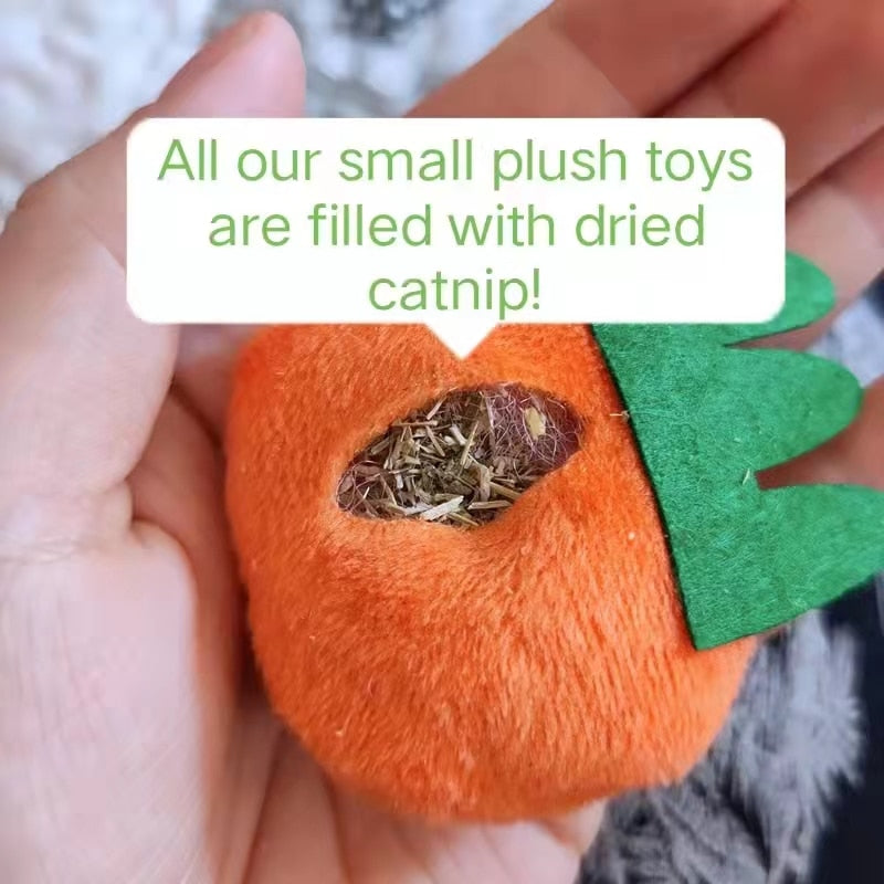 Animal Shaped Catnip Toy