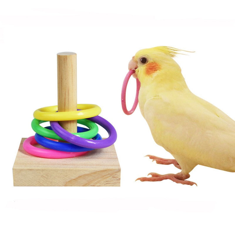 Bird Training Toy Set